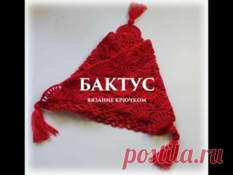 БАКТУС-ШАЛЬ КРЮЧКОМ