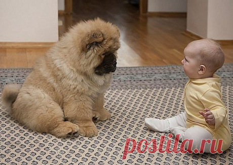 Ну, что обсудим незавершенные дела?