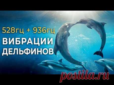 528гц + 936гц Исцеляющее Пение Дельфинов для Восстановления Энергии, Снятия Стресса и Глубокого Сна💤
