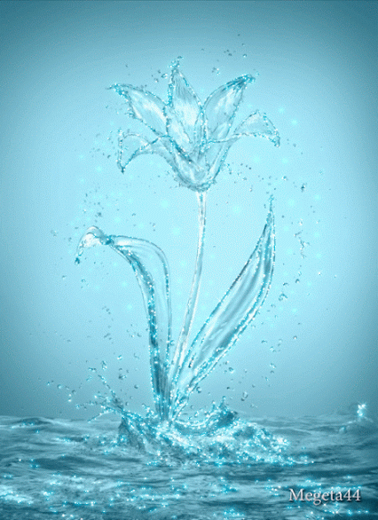 Живые фотографии – Сообщество – Google+