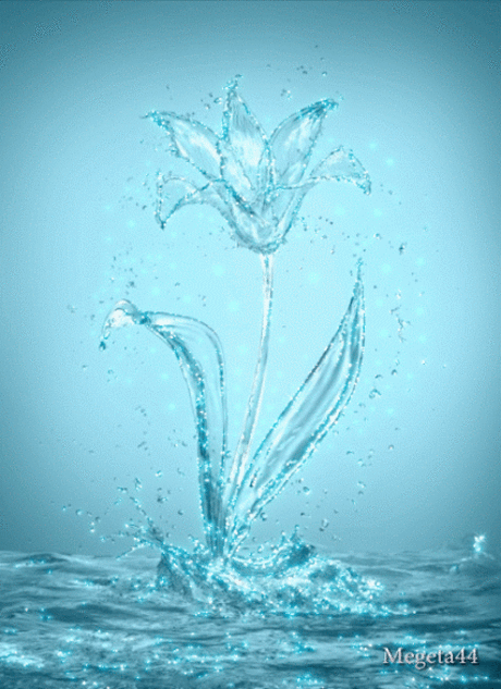 Живые фотографии – Сообщество – Google+