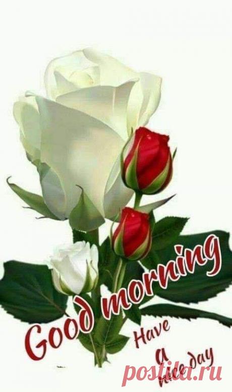 (43) Зина Таирова