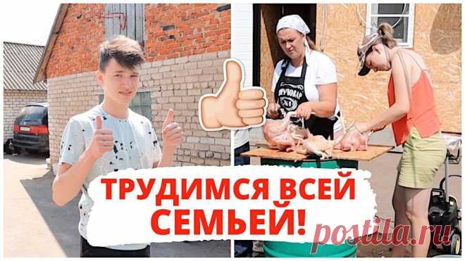 Трудимся всей семьей Всё про чистку вещей, дома и офиса. Как почистить квартиру, машину, золото, серебро, дом, мех, зеркало и многое другое...