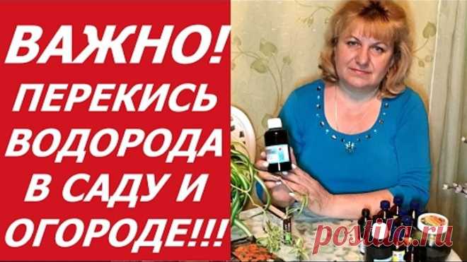 (8) Одноклассники