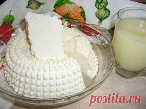 Очень быстрый домашний сыр