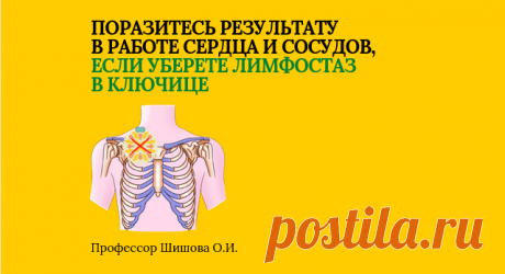 Поразитесь результату в работе сердца и сосудов, если уберете лимфостаз в ключице | Шишова Ольга Ивановна | Дзен