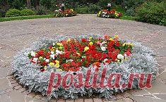 Вертикальные грядки: плюсы и минусы. Сохраните любой пост с сайта 7dach.ru в Постиле и выиграйте призы от интернет-магазина Клуб Красоты. Чем больше постов - тем выше шансы. Розыгрыш состоится в понедельник, 30 января. В акции участвуют все посты, которые содержат этот текст или фото призов!