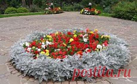 Вертикальные грядки: плюсы и минусы. Сохраните любой пост с сайта 7dach.ru в Постиле и выиграйте призы от интернет-магазина Клуб Красоты. Чем больше постов - тем выше шансы. Розыгрыш состоится в понедельник, 30 января. В акции участвуют все посты, которые содержат этот текст или фото призов!