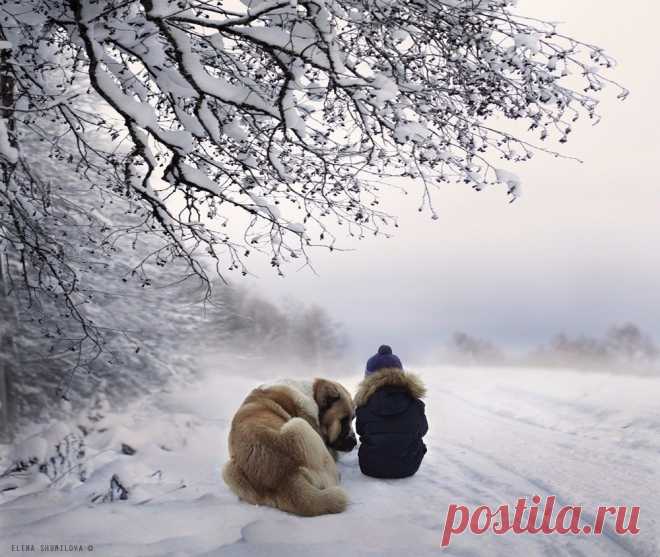 15 зимних фото о счастливом детстве в деревне https://www.flickr.com/photos/75571860@N06/with/15798658418/