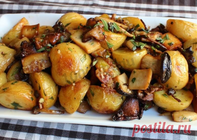 Грибы в рукаве в духовке рецепт с фото - 1000.menu