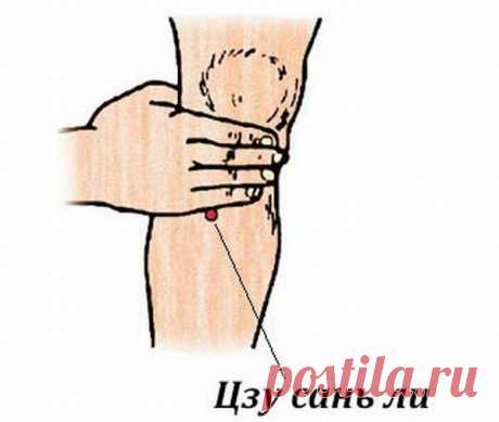 Точка долголетия Е36 (Цзу Сан Ли) - точка от 100 болезней | Движение - это жизнь | Яндекс Дзен