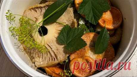 РЕЦЕПТ ХОЛОДНЫЙ ЗАСОЛ ГРУЗДЕЙ ! Грибной поход за рыжиками и груздёвое безумие под дождём !