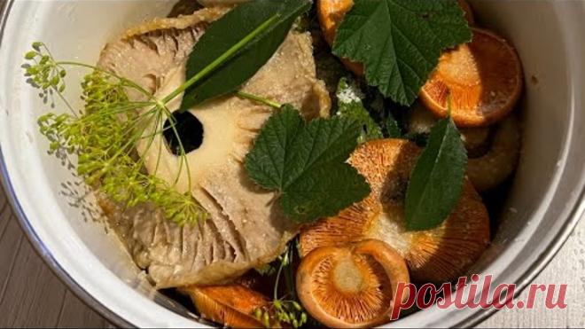 РЕЦЕПТ ХОЛОДНЫЙ ЗАСОЛ ГРУЗДЕЙ ! Грибной поход за рыжиками и груздёвое безумие под дождём !