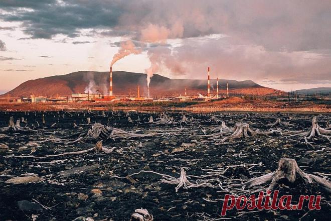 Мы не в силах изменить прошлого,

               

                Но стремиться к лучшему будущему

                – наша задача.

         Две тысячи тридцать четвертый год. Крохотный Городок боязливо притулился где-то в Предуралье. Кто мог, тот давно уехал оттуда, чем дальше, тем лучше. Другие искали возможности заработать на Заводе по переработке опасных отходов, – деньги им доставались ценой собственного здоровья.

ЧИТАТЬ ДАЛЕЕ: