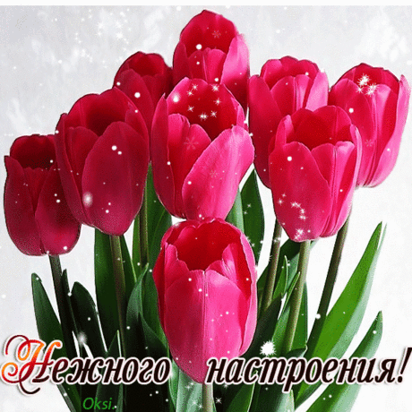 Главное девчата - сердцем не стареть!
Не чихать, не кашлять, в общем, не болеть!
Собираться чаще, чтоб &quot;чайку&quot; попить.
А потом полночи песни голосить.
Не искать седины, не считать года!
На лице морщины? Это ерунда!
Будьте молодыми, девоньки, всегда!
НЕ СТАРЕТЬ ДУШОЮ вам желаю я!