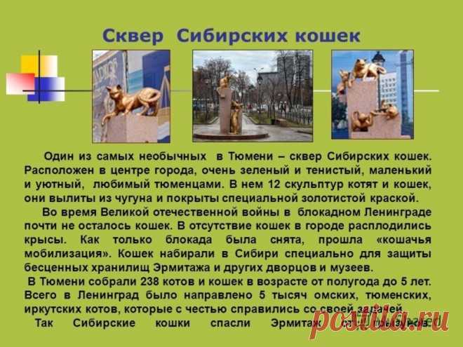 Сквер Сибирских Кошек
