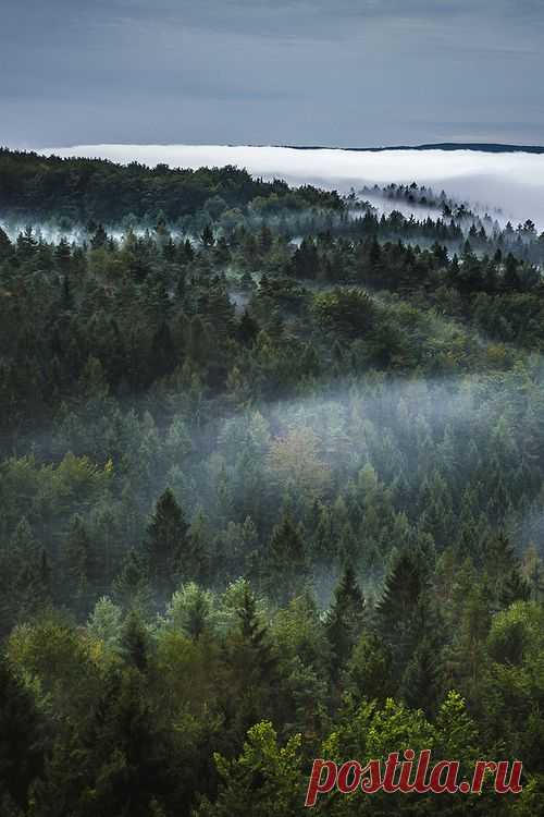 (1) Tumblr