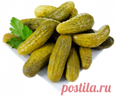 "Огурцы из-под крана" пришлись многим по вкусу