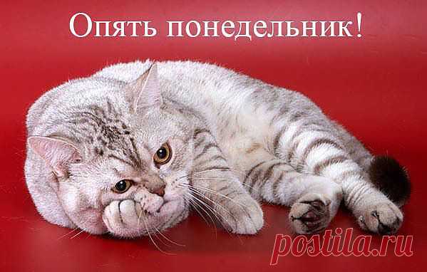 Как у нас!?