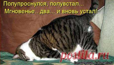 Спу... | KotoMail.ru