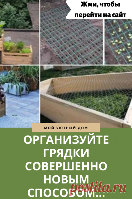 Как красиво и практично организовать грядки