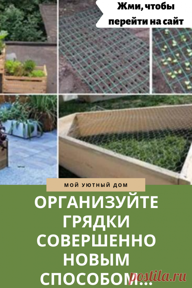 Как красиво и практично организовать грядки