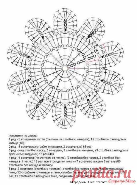 13554243_28164.jpg (517×699)