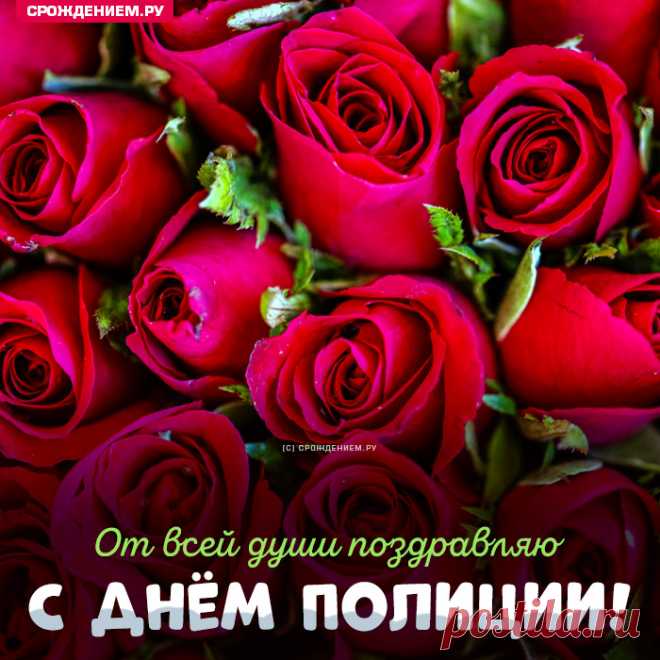 С Днём полиции! Отвага
Точно пусть не подведёт,
Друг надёжный будет рядом,
В каждом деле пусть везёт.