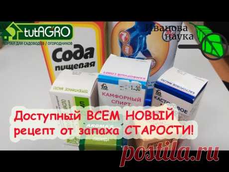 ИЗБАВЛЯЕМСЯ ОТ ЗАПАХА СТАРОСТИ, ГРИБКА, ОМОЛАЖИВАЕМ КОЖУ. ТОЛЬКО РАСТИТЕЛЬНЫЕ КОМПОНЕНТЫ И МИНЕРАЛЫ.