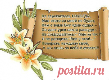 (3) Одноклассники