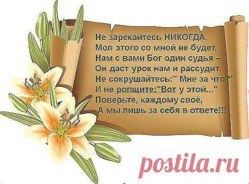 (3) Одноклассники