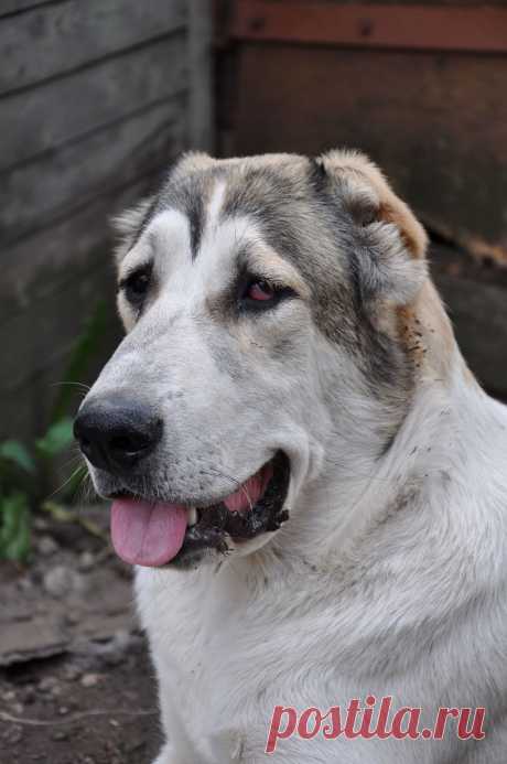 Сао Женька на фото 8месяцев