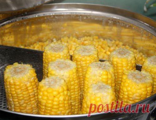Как и сколько нужно варить кукурузу в мультиварке