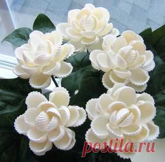 Красота из ракушек! Красота из ракушек!
🌸🌸🌸
👇👇👇
