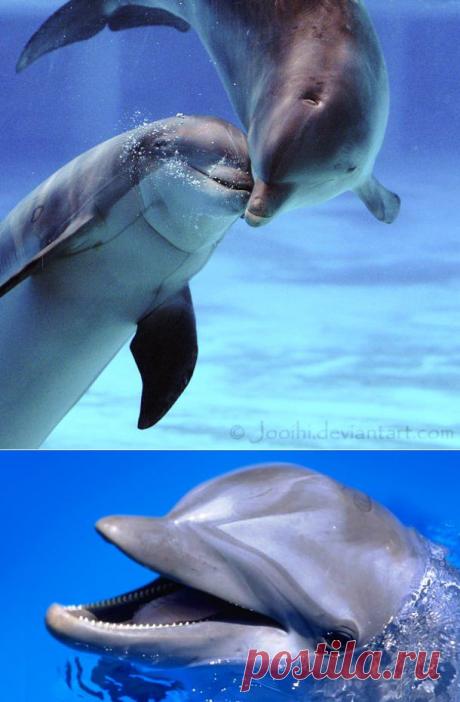 Красавчики