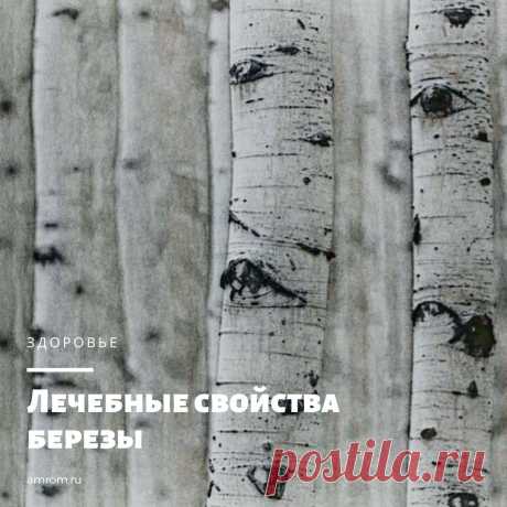 Лечебные свойства березы. Береза — самое распространенное дерево России. Ее разные виды можно встретить за Полярным кругом и в пред­горьях Кавказа, на Сахалине и в Калининградской области.