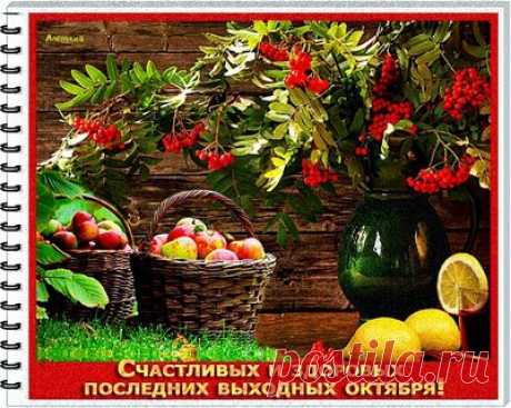 Популярные сегодня открытки на WhatsApp, Viber, в Одноклассники - cтраница 13