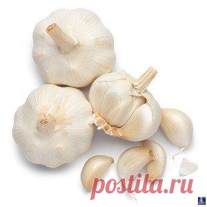 Зубная боль. Как снять зубную боль – народные средства |