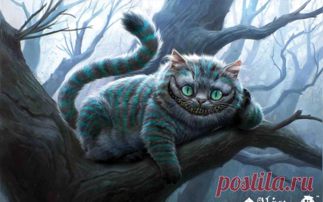 Кошачья улыбка обои для рабочего стола, картинки, фото, 1920x1200.