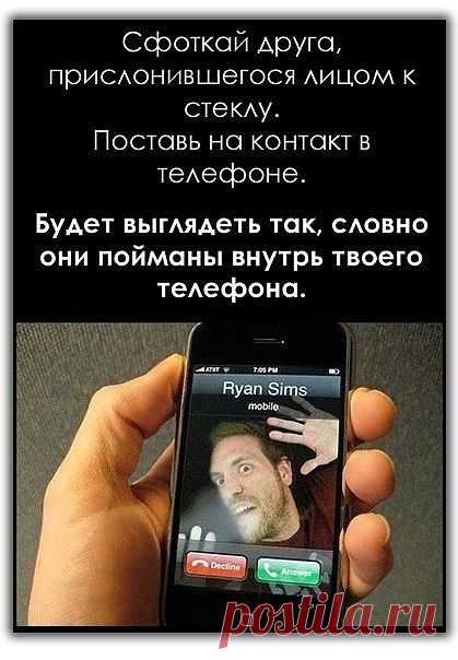 Забавные обои на звонок / Гаджеты / Модный сайт о стильной переделке одежды и интерьера