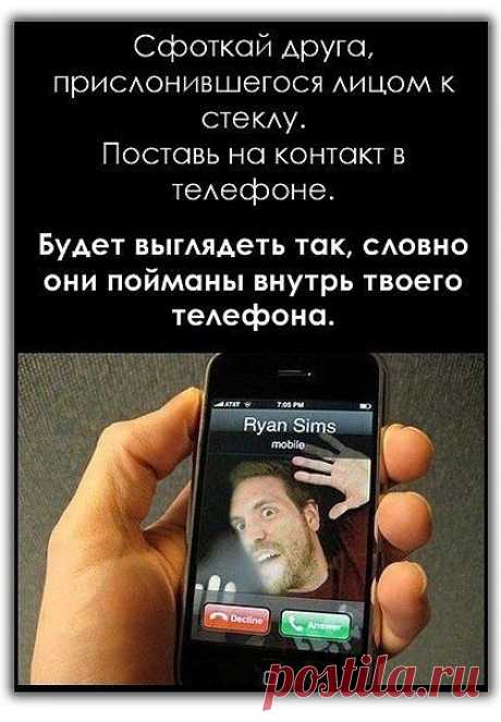 Забавные обои на звонок / Гаджеты / Модный сайт о стильной переделке одежды и интерьера