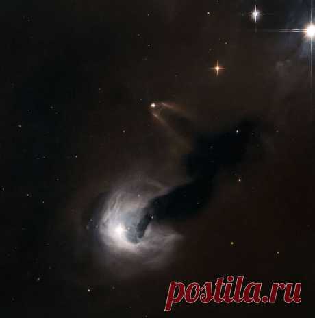Hubble Looks at Light and Dark in the Universe | NASA