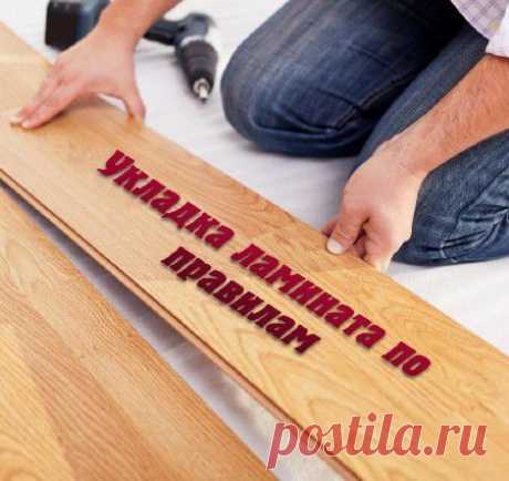 Скачать видео, аудио самоучители, учебники и обучалки бесплатно без регистрации - powered by FeedBurner