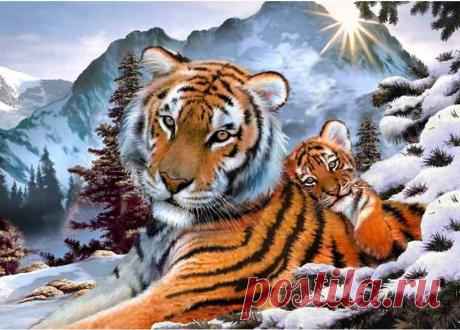 Одноклассники