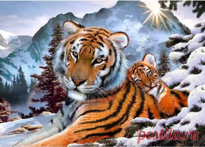 Одноклассники