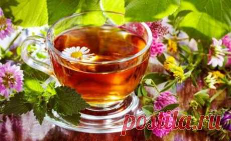 Лучшие травяные чаи для похудания