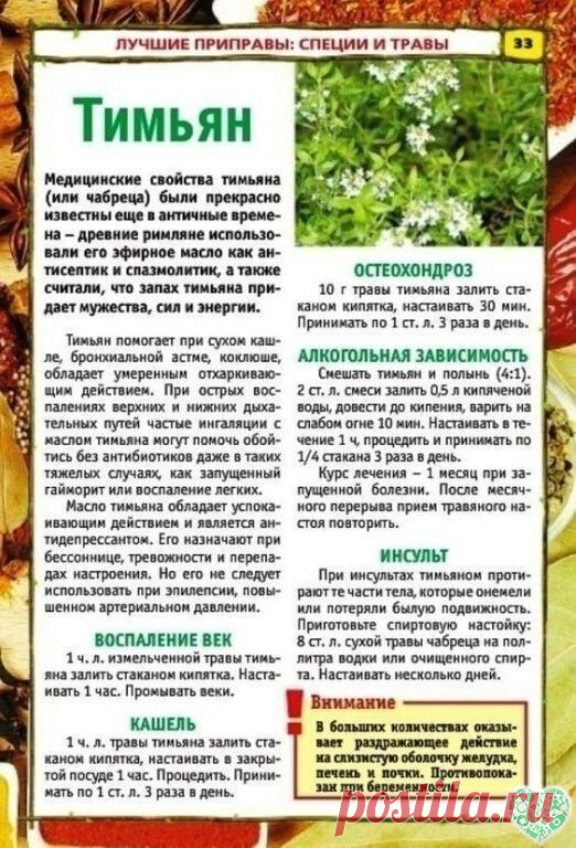 ТАКИХ РЕЦЕПТОВ ВЫ БОЛЬШЕ НЕ НАЙДЕТЕ! 
  Целебные растения и приправы для нашего здоровья.