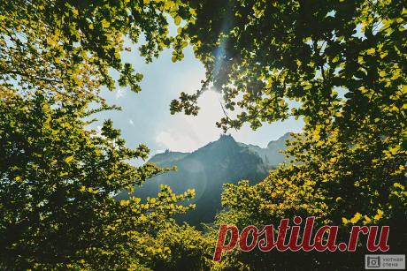 e032ff3aee38a67559bc1200e37c96e4.webp (1350×900)