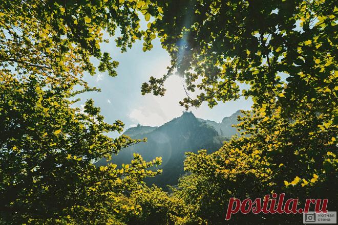 e032ff3aee38a67559bc1200e37c96e4.webp (1350×900)