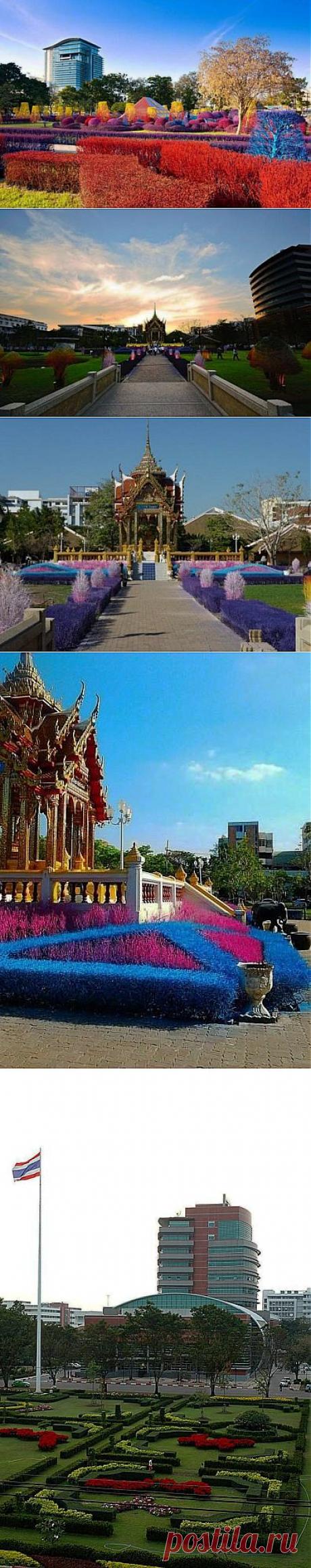 Живописный кампус / Туристический спутник